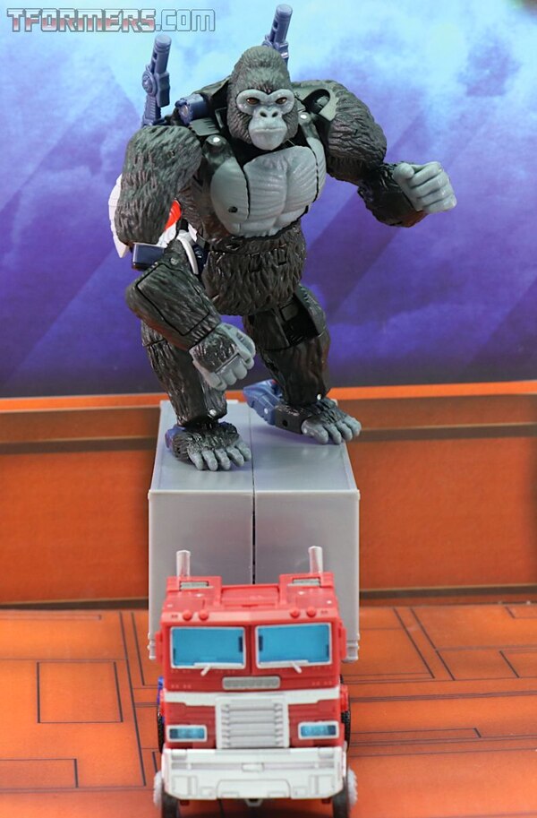 Transformers Kingdom Wave 1 Optimus Primal  (54 of 55)